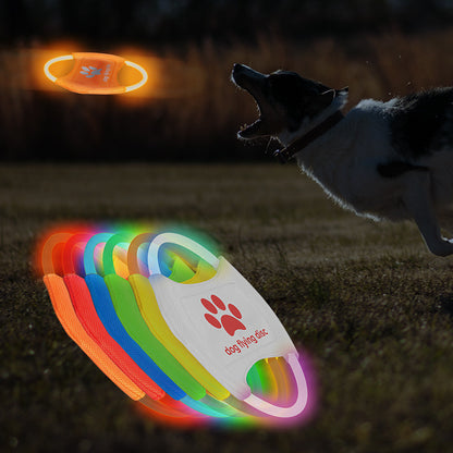 Vanique GlowBee Frisbee
